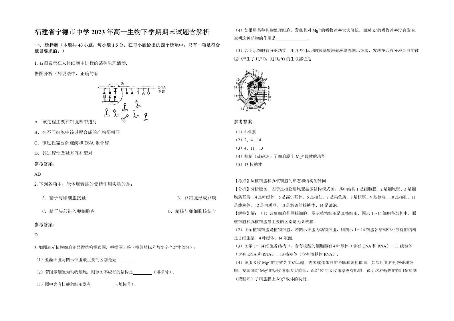 福建省宁德市中学2023年高一生物下学期期末试题含解析