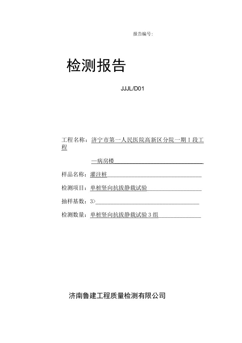 桩基检测报告模板