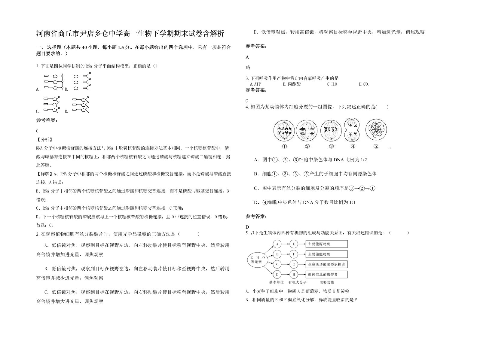 河南省商丘市尹店乡仓中学高一生物下学期期末试卷含解析