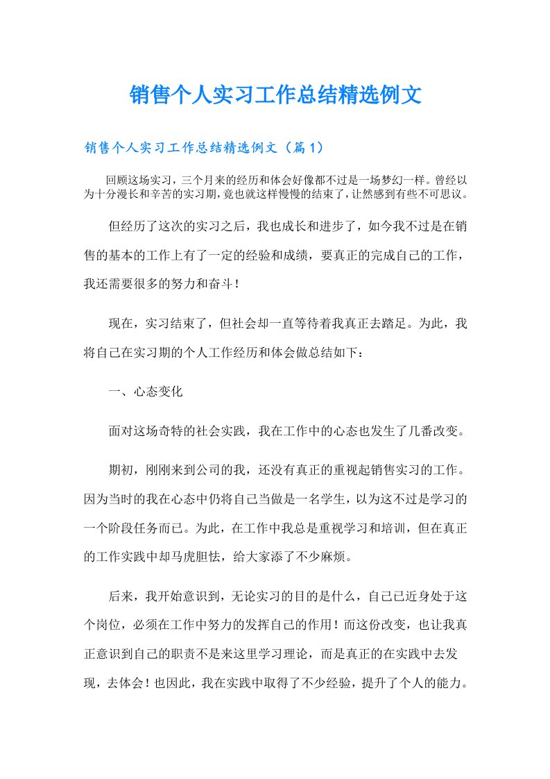 销售个人实习工作总结精选例文