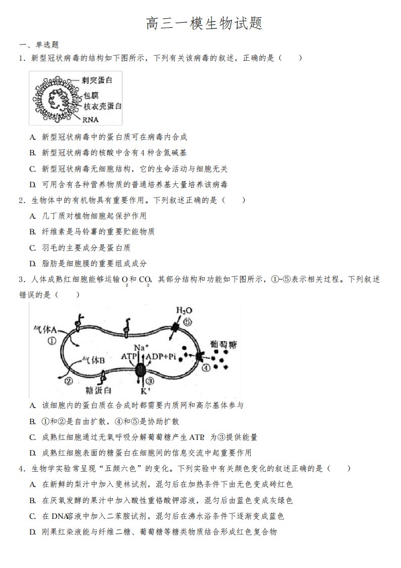 广东省梅州市2023届高三一模生物试题【含答案】