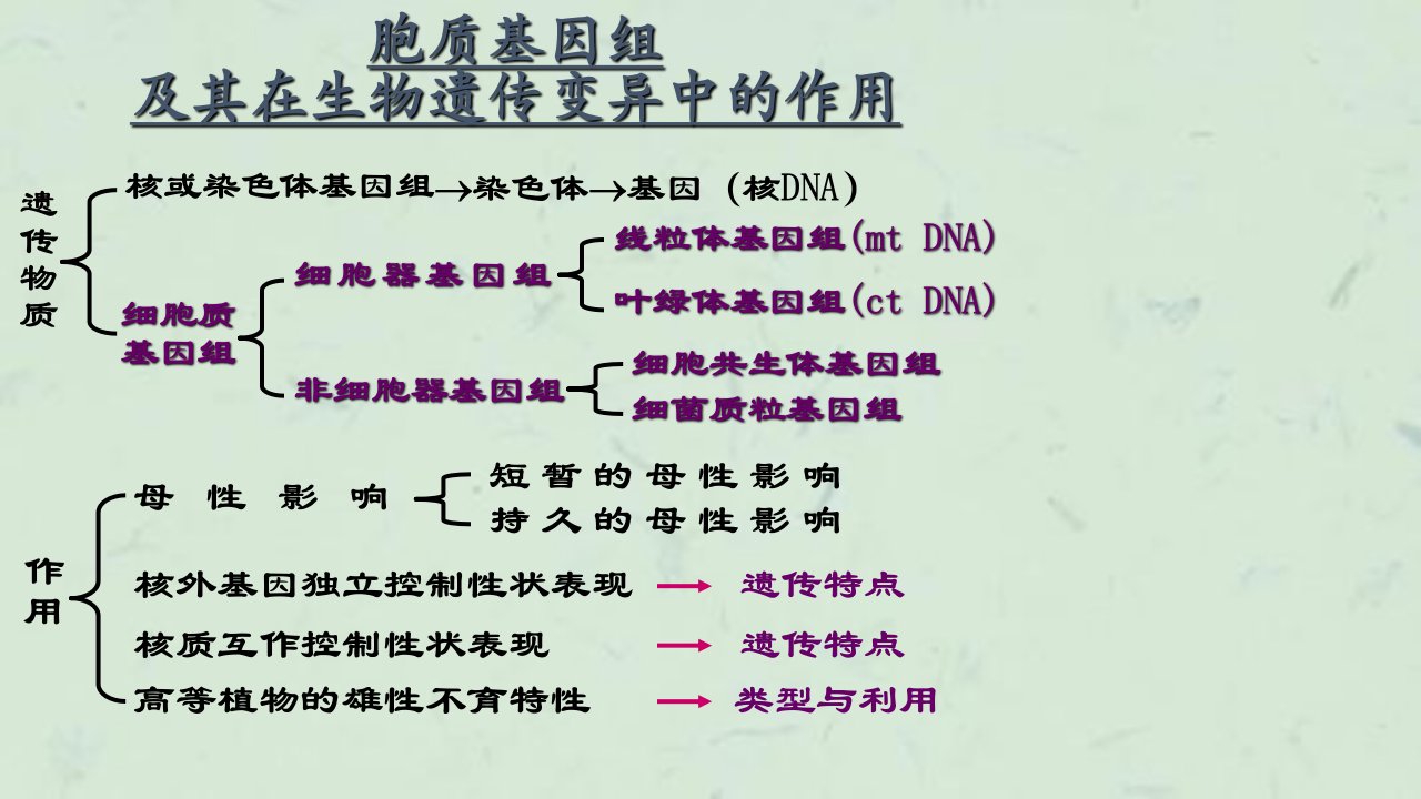 细胞质遗传核外遗传课件