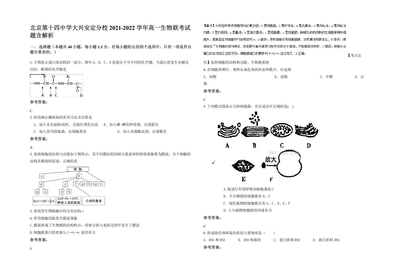 北京第十四中学大兴安定分校2021-2022学年高一生物联考试题含解析