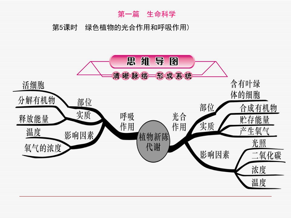 课时绿色植物的光合作用和呼吸作用