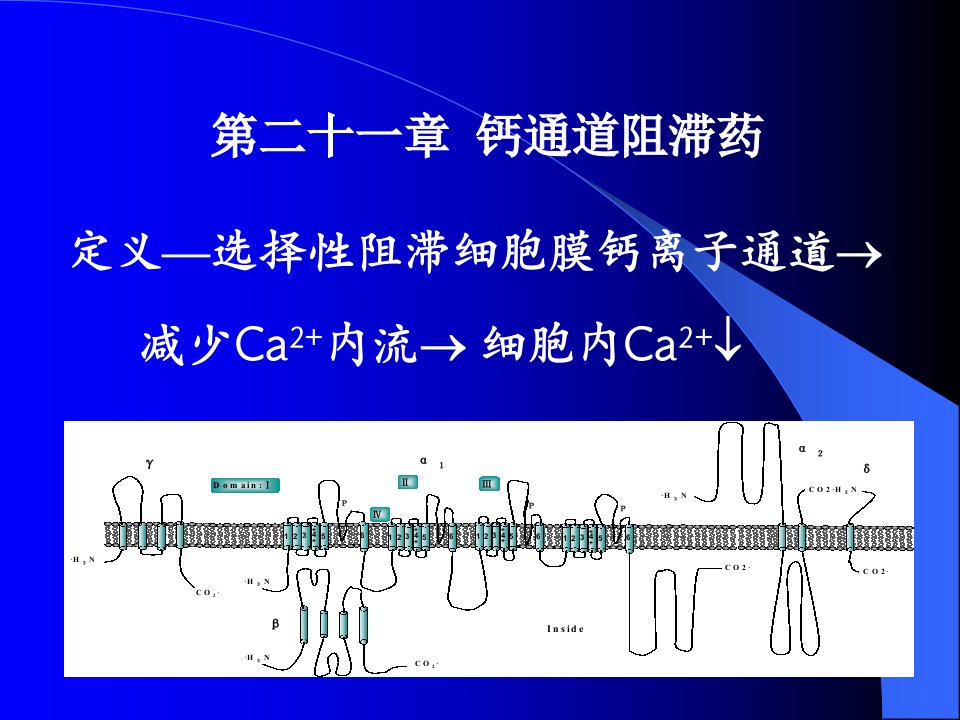 药理学第21章钙通道阻滞药