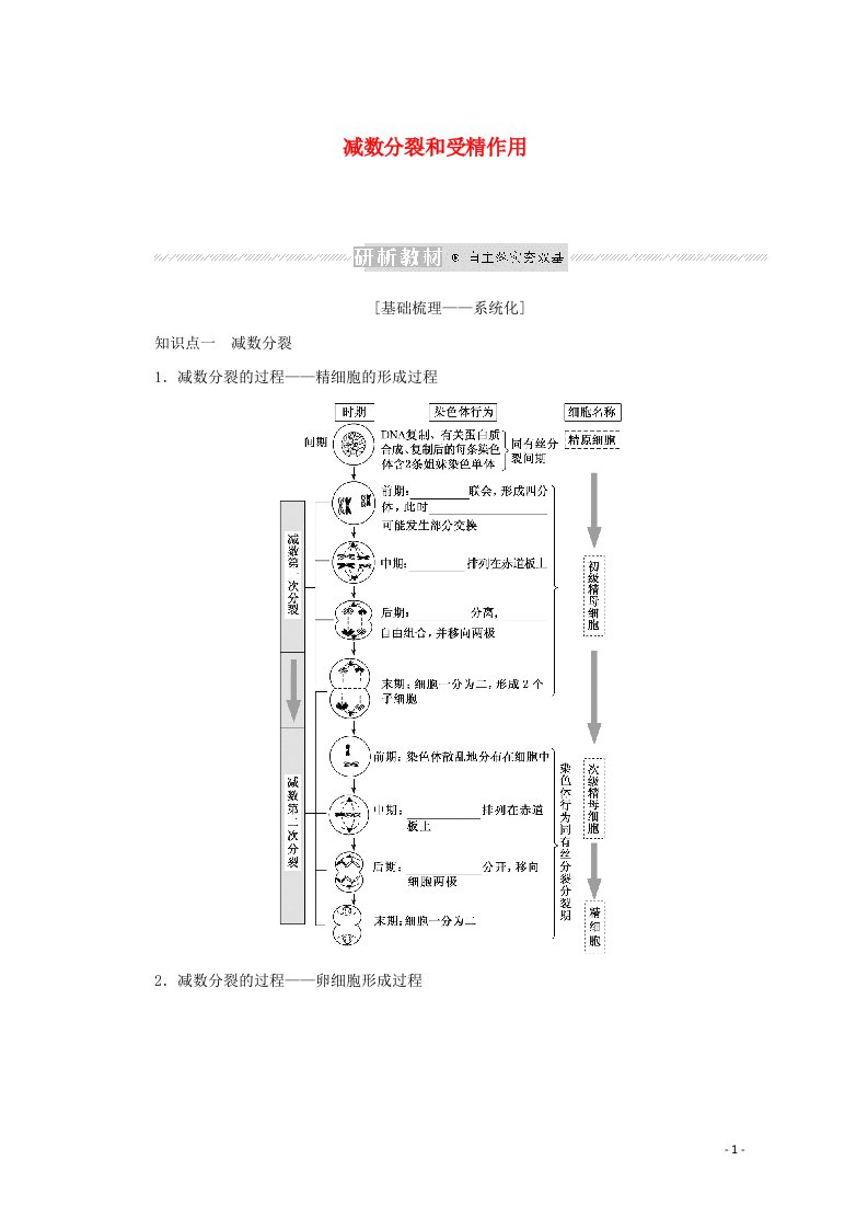 2022届高考生物一轮复习第四单元细胞的生命历程2减数分裂和受精作用学案新人教版必修1