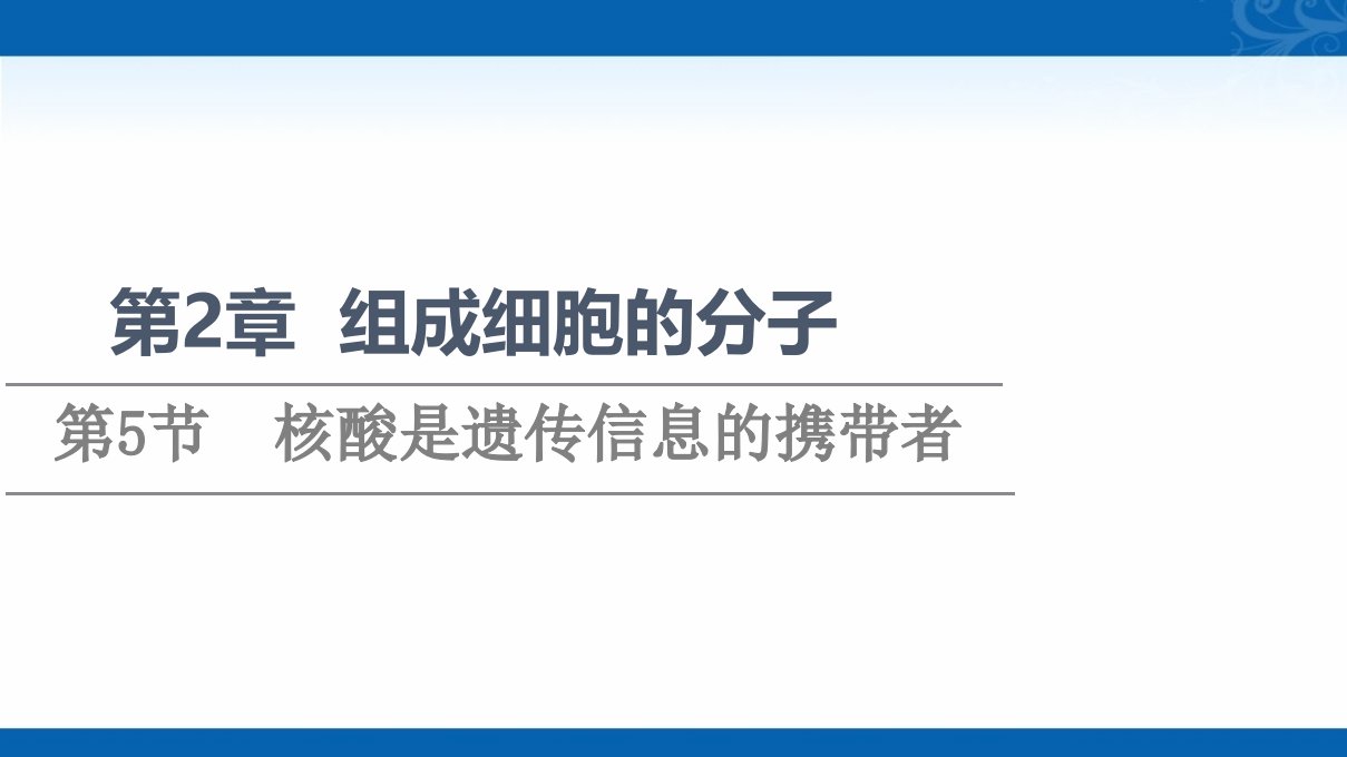 新教材人教版生物必修1ppt课件第2章第5节核酸是遗传信息的携带者