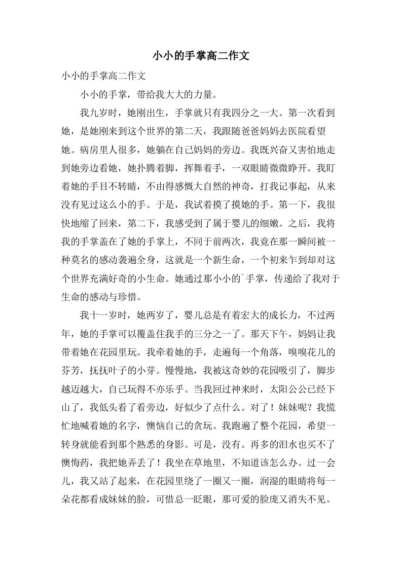 小小的手掌高二作文