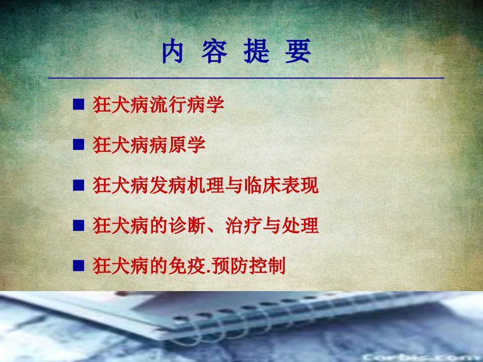 狂犬病防治培训课件