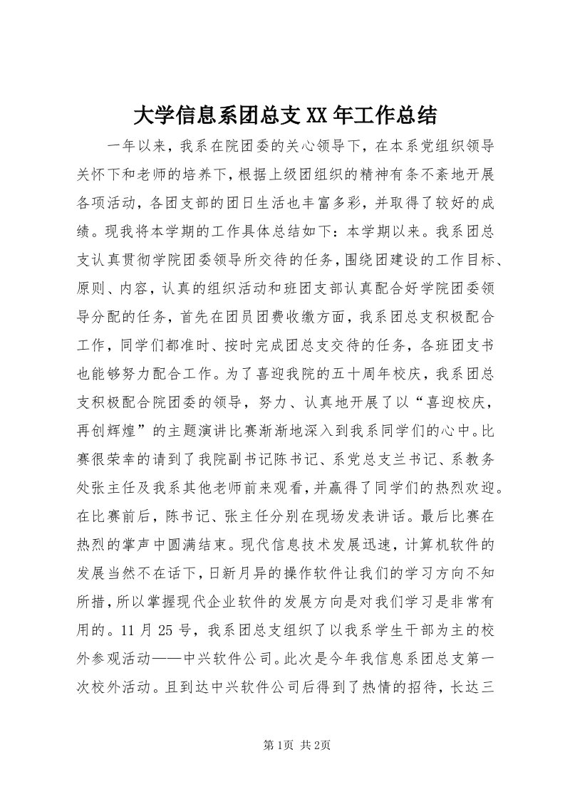 大学信息系团总支某年工作总结