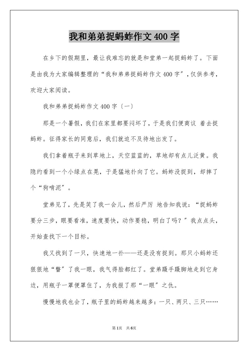 我和弟弟捉蚂蚱作文400字