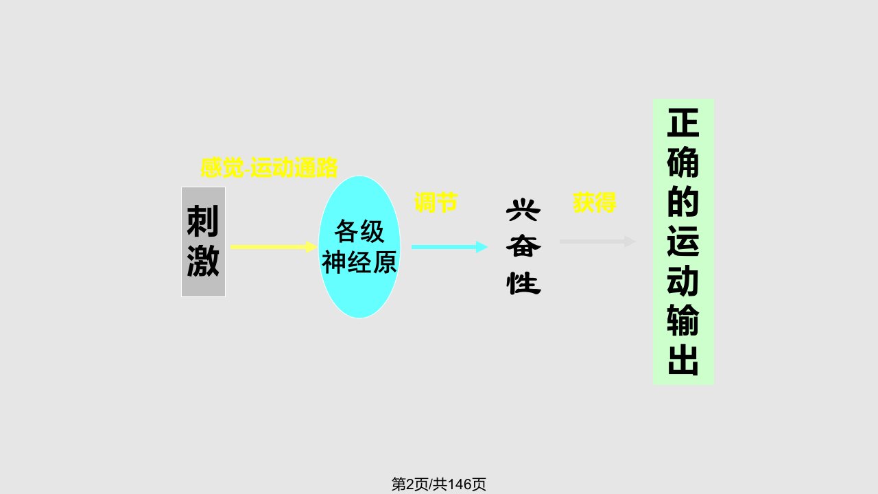 神经促进技术培训班