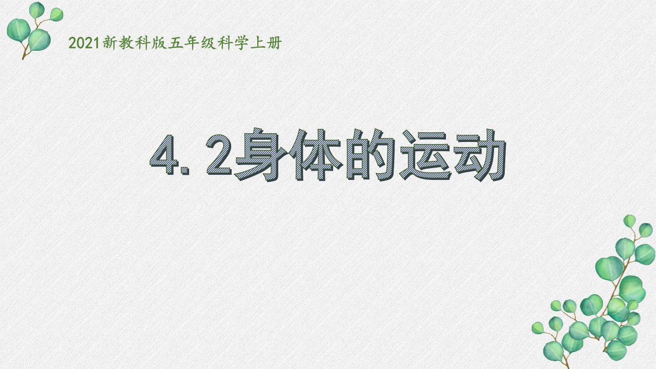 2021新教科版五年级科学上册《身体的运动》课件