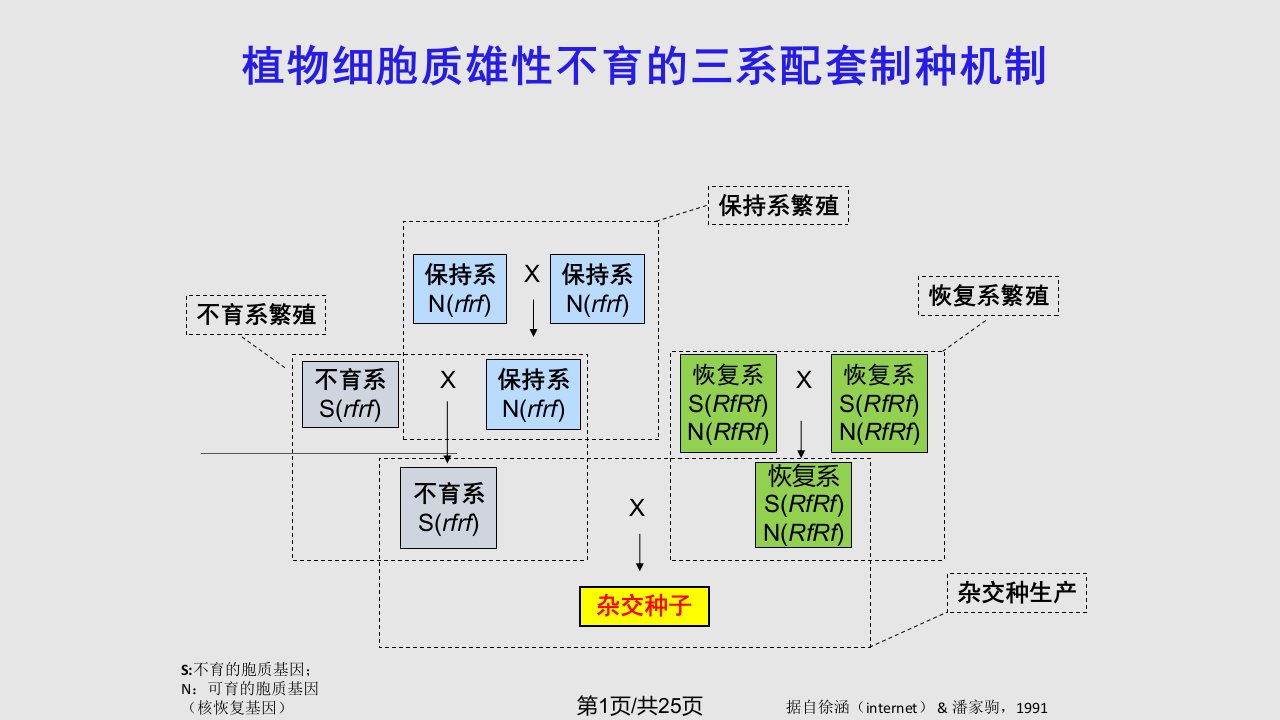 张先锋公司SPT技术简介PPT课件