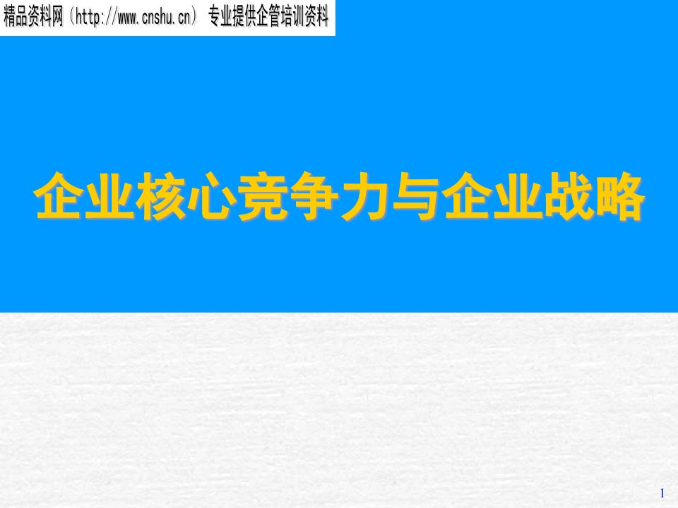 企业核心竞争力和企业战略