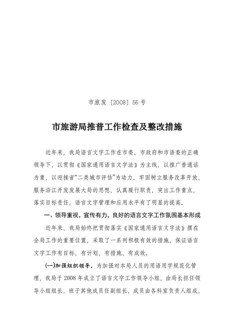 工作总结及整改措施