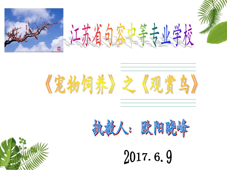 常见观赏鸟的饲养——虎皮鹦鹉-江苏句容中等专业学校