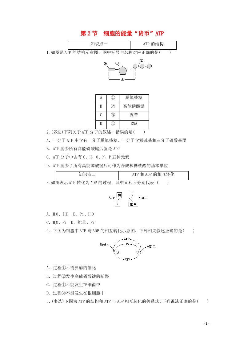 2020_2021学年新教材高中生物第5章细胞的能量供应和利用2细胞的能量“货币”ATP层级训练含解析新人教版必修第一册