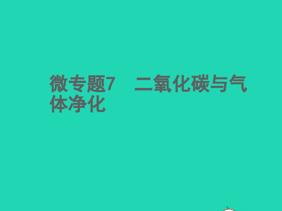 2022中考化学微专题7二氧化碳与气体净化精讲本课件