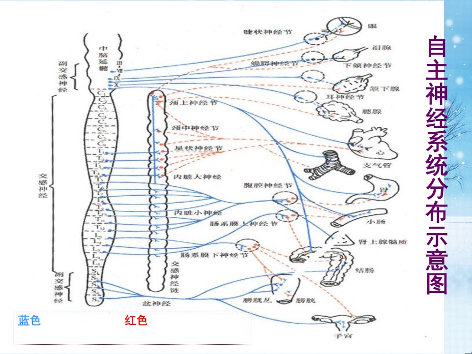 药理学第五至九章课件