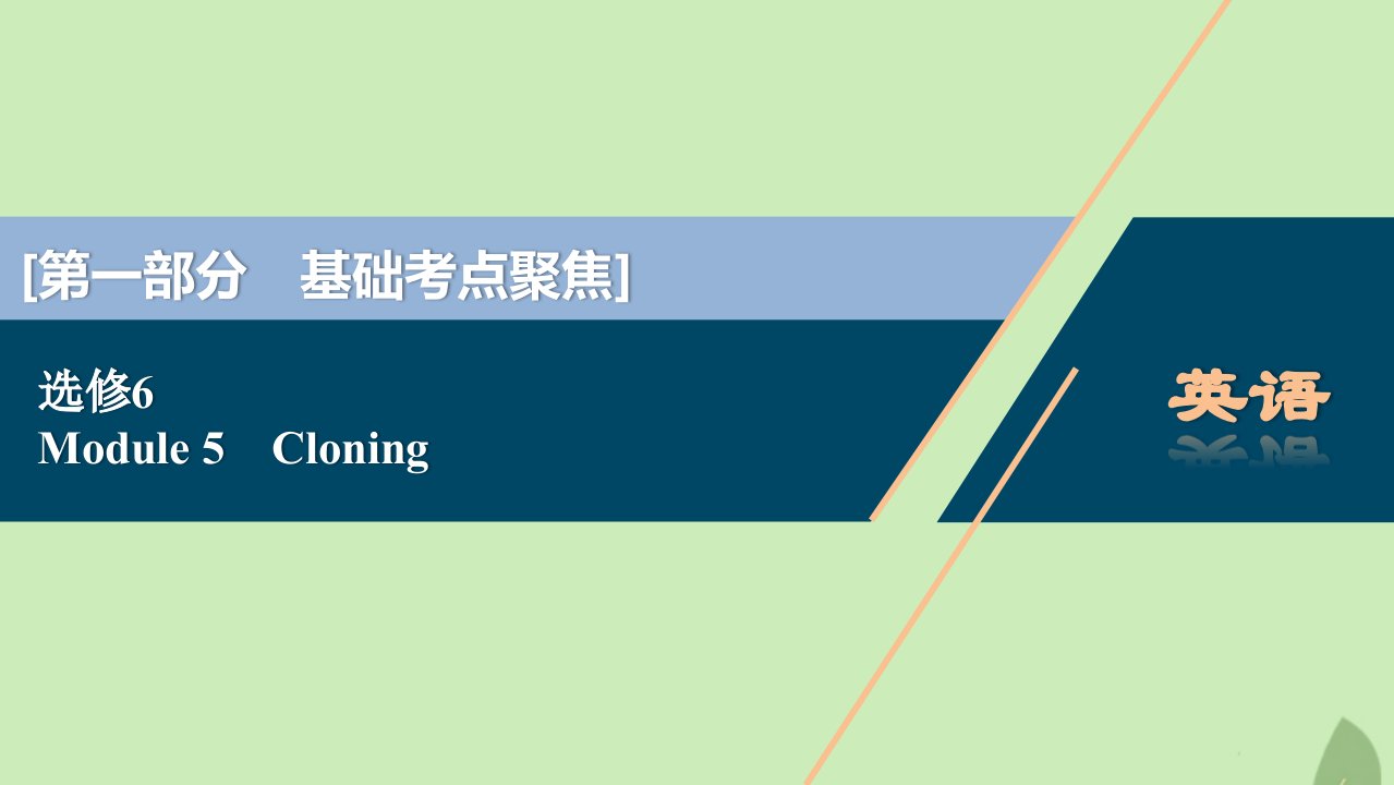 2021版新高考英语一轮复习