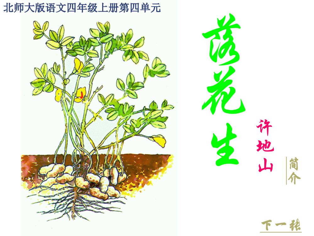 （北师大版）四年级语文上册课件落花生3