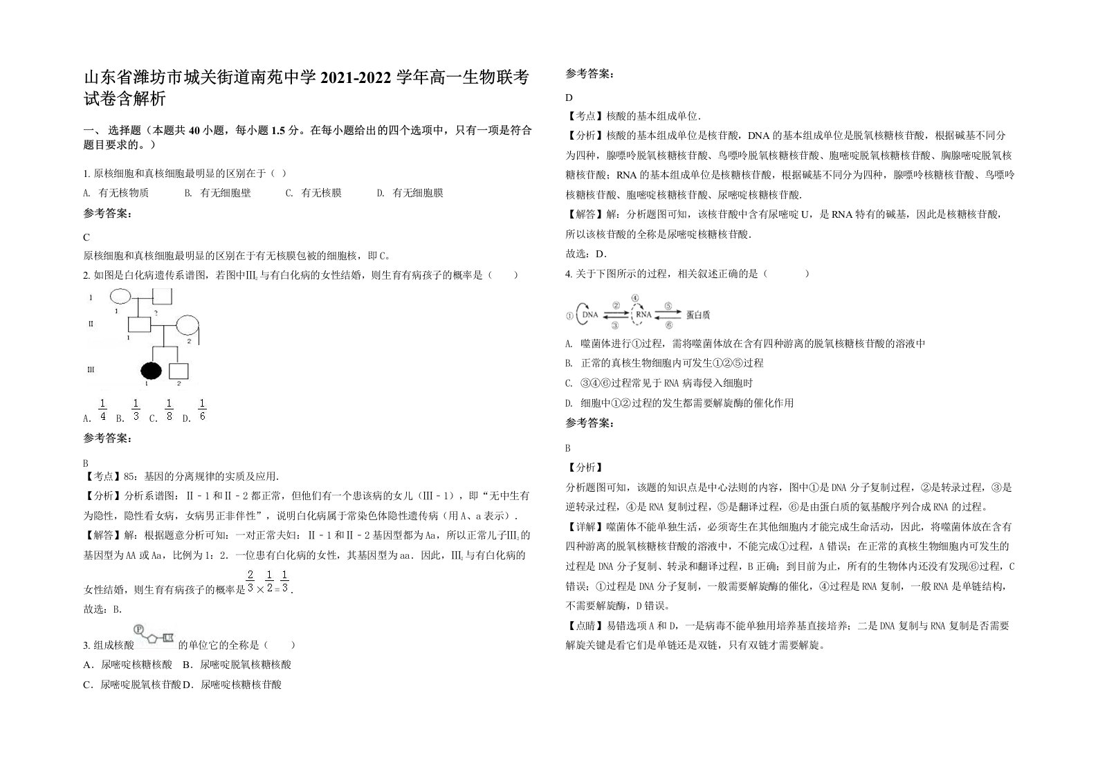 山东省潍坊市城关街道南苑中学2021-2022学年高一生物联考试卷含解析