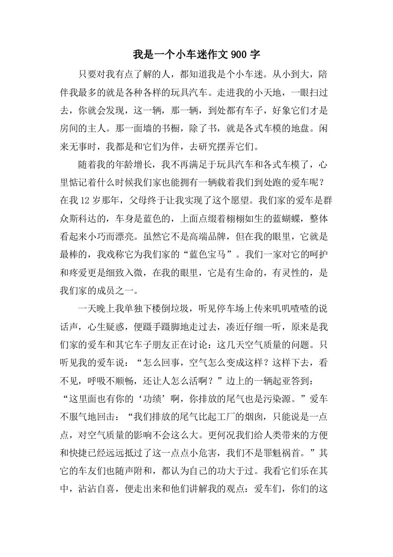 我是一个小车迷作文900字