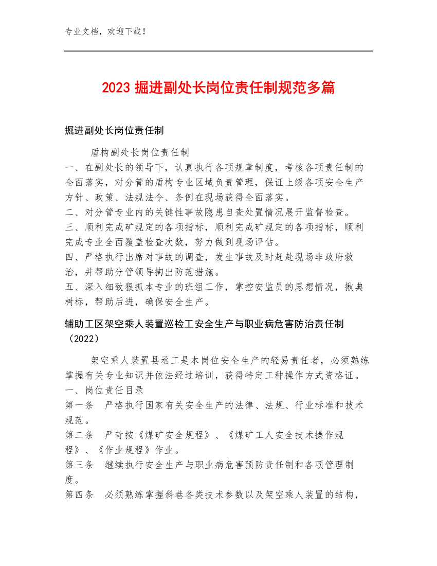 2023掘进副处长岗位责任制规范多篇