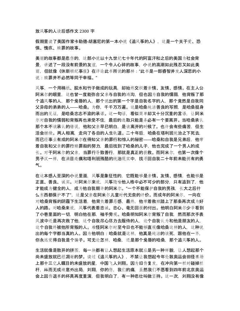 放风筝的人读后感作文2300字