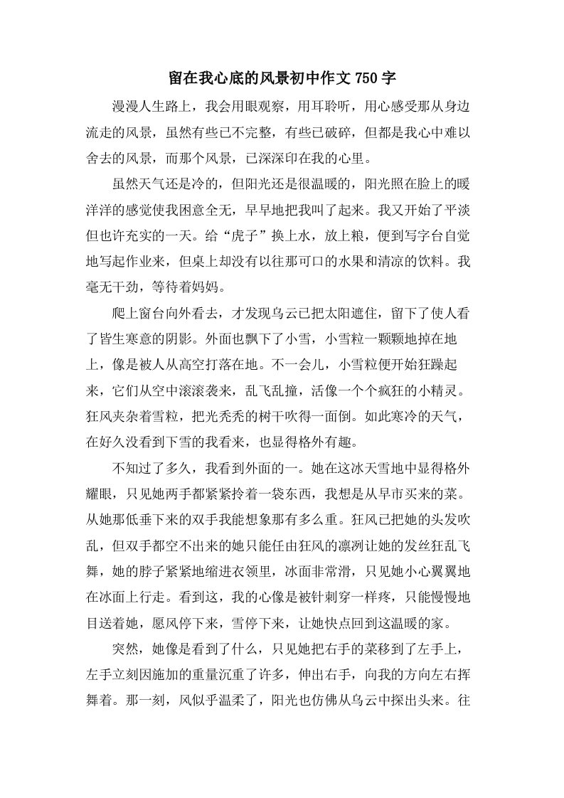 留在我心底的风景初中作文750字