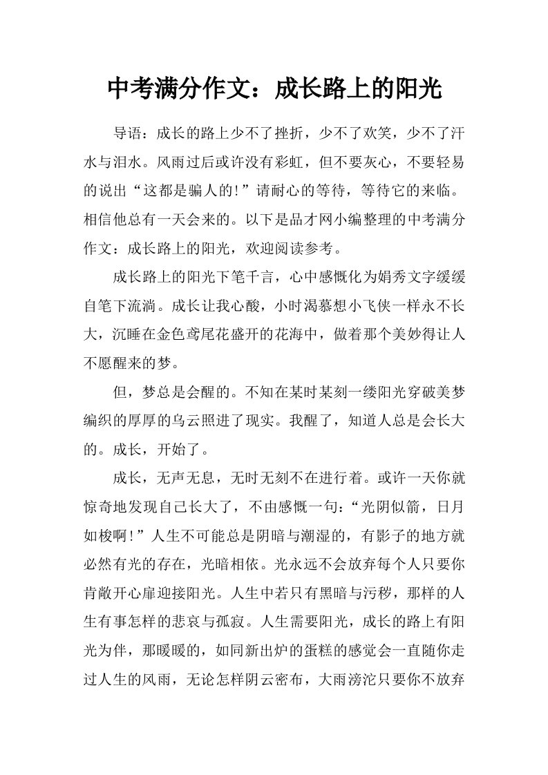 中考满分作文：成长路上的阳光