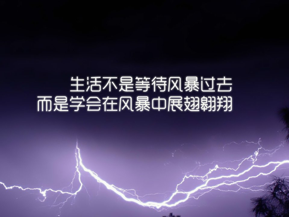 角形中线与角平分线