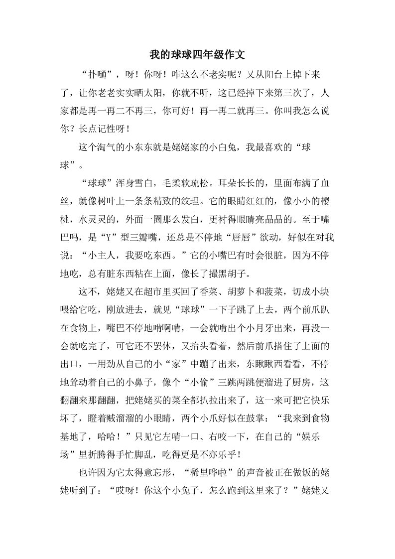 我的球球四年级作文