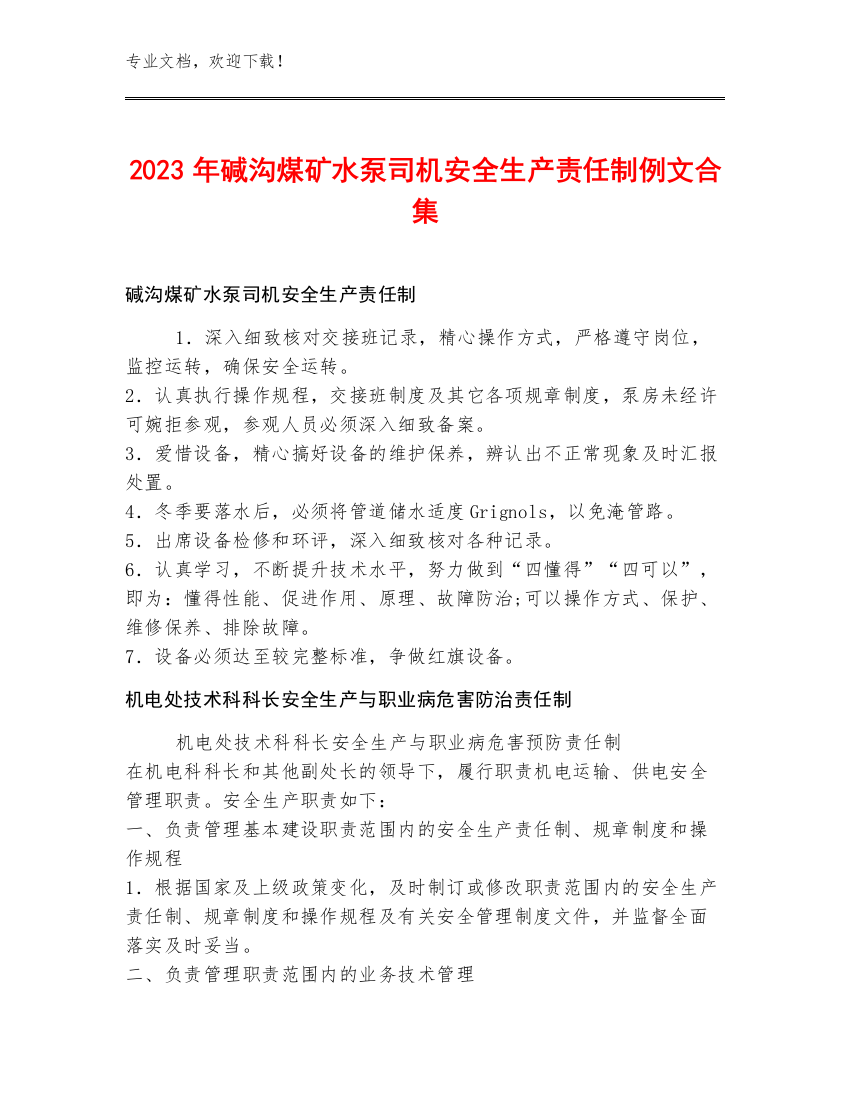 2023年碱沟煤矿水泵司机安全生产责任制例文合集