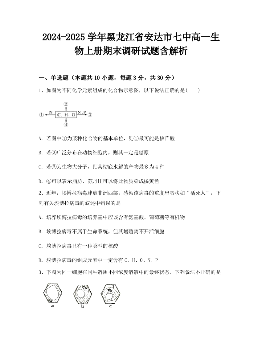 2024-2025学年黑龙江省安达市七中高一生物上册期末调研试题含解析