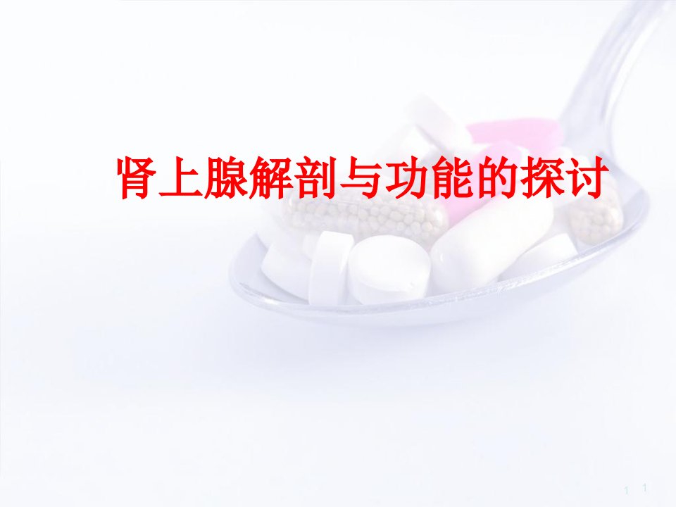 医学PPT课件肾上腺的解剖与功能解读