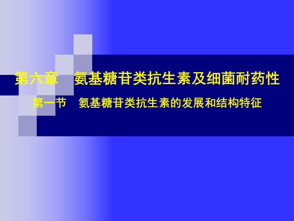 第6章氨基糖苷类抗生素