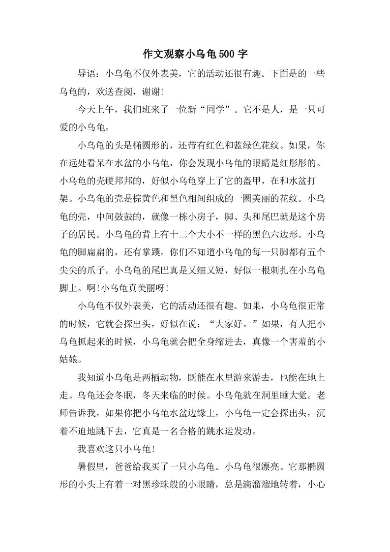 作文观察小乌龟500字