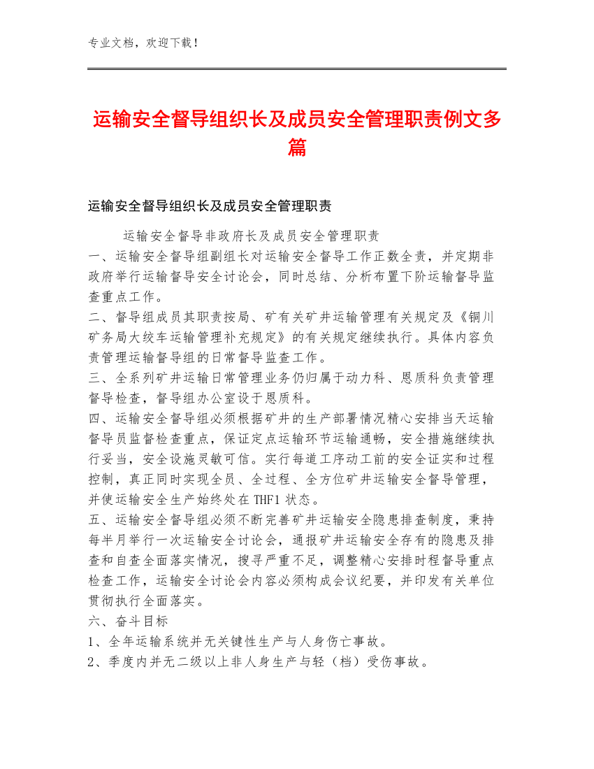 运输安全督导组织长及成员安全管理职责例文多篇