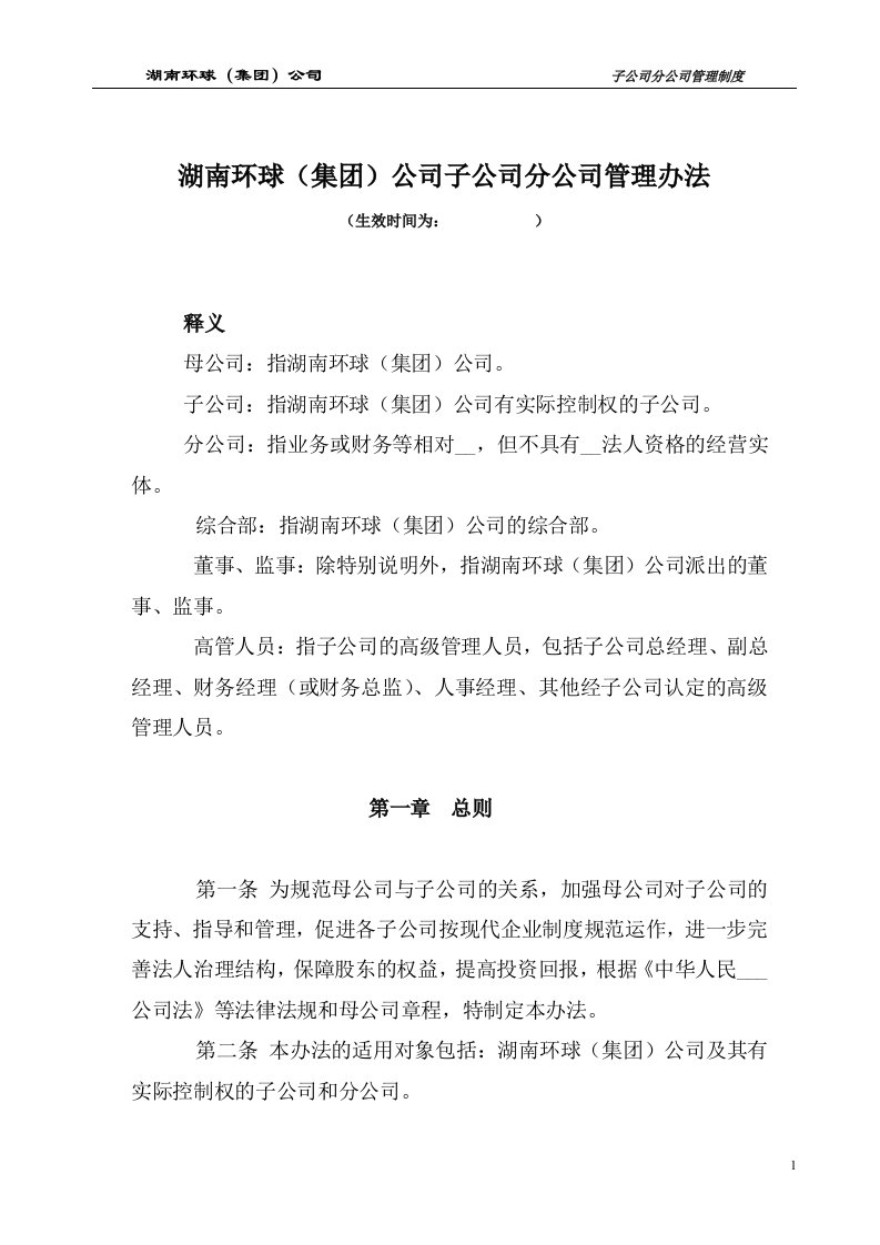 湖南环球（集团）公司子公司分公司管理办法