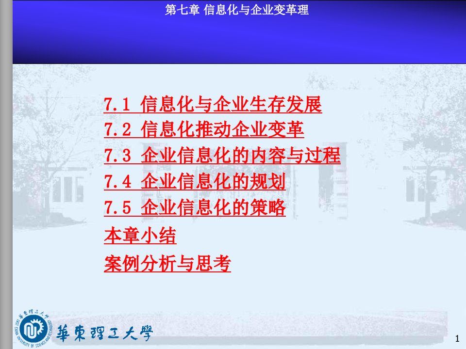 信息化与企业变革流程再造与管理运营课件