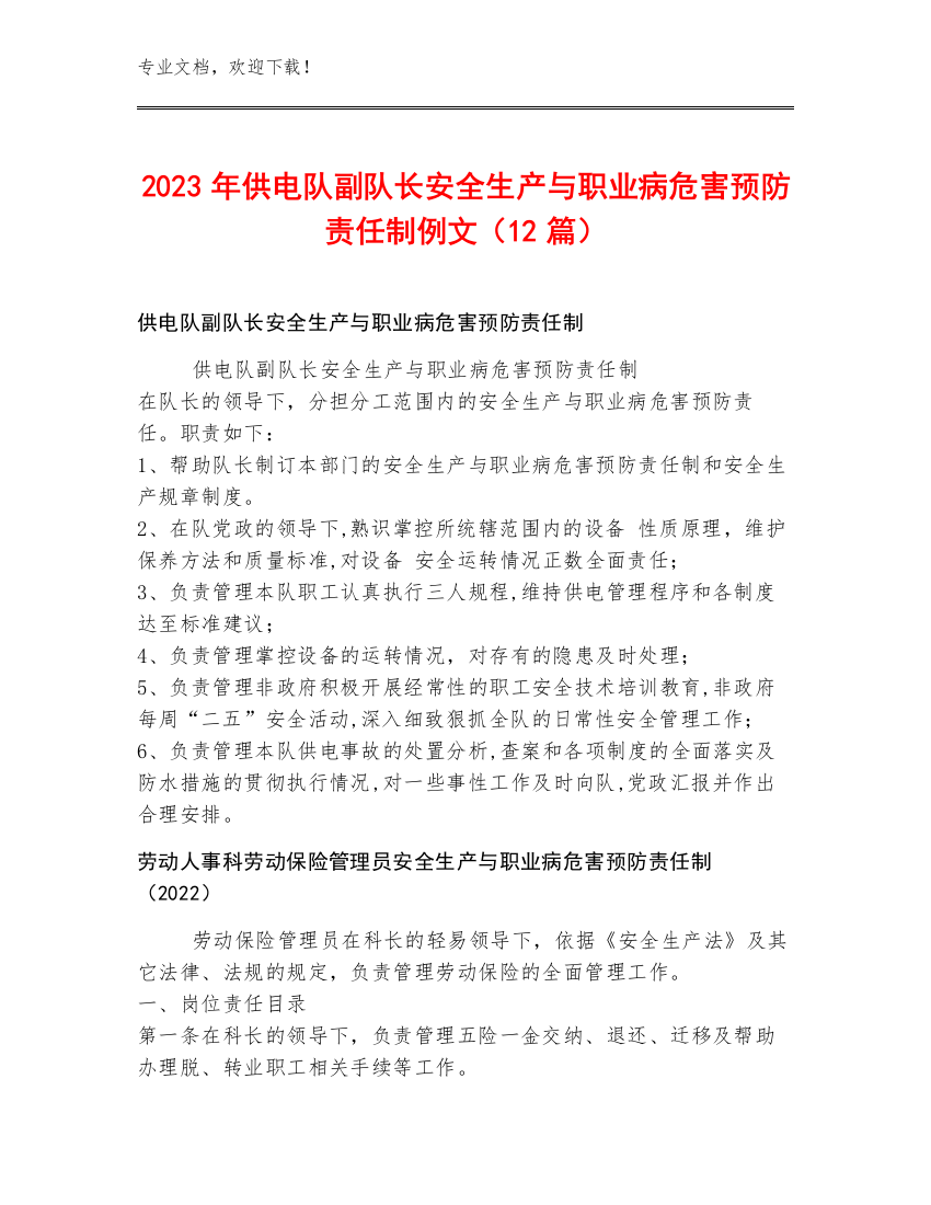 2023年供电队副队长安全生产与职业病危害预防责任制例文（12篇）