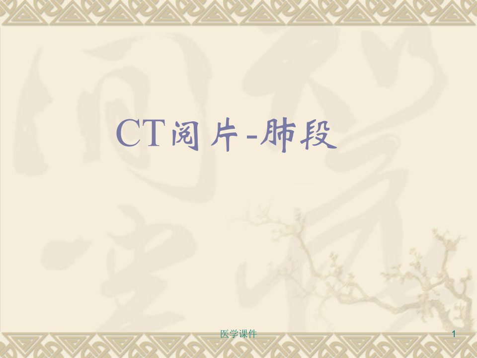 CT阅片肺段-PPT课件