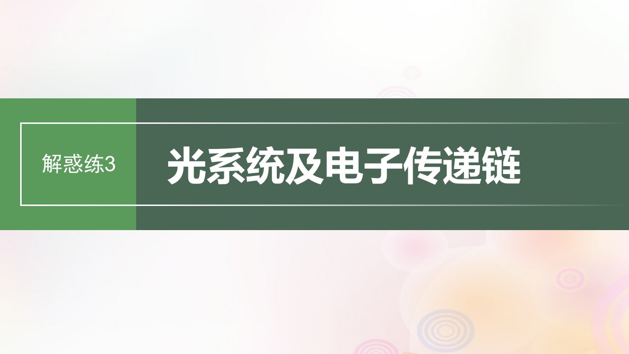 鲁湘辽新教材2024届高考生物一轮复习第三单元细胞的能量供应和利用解惑练3光系统及电子传递链课件