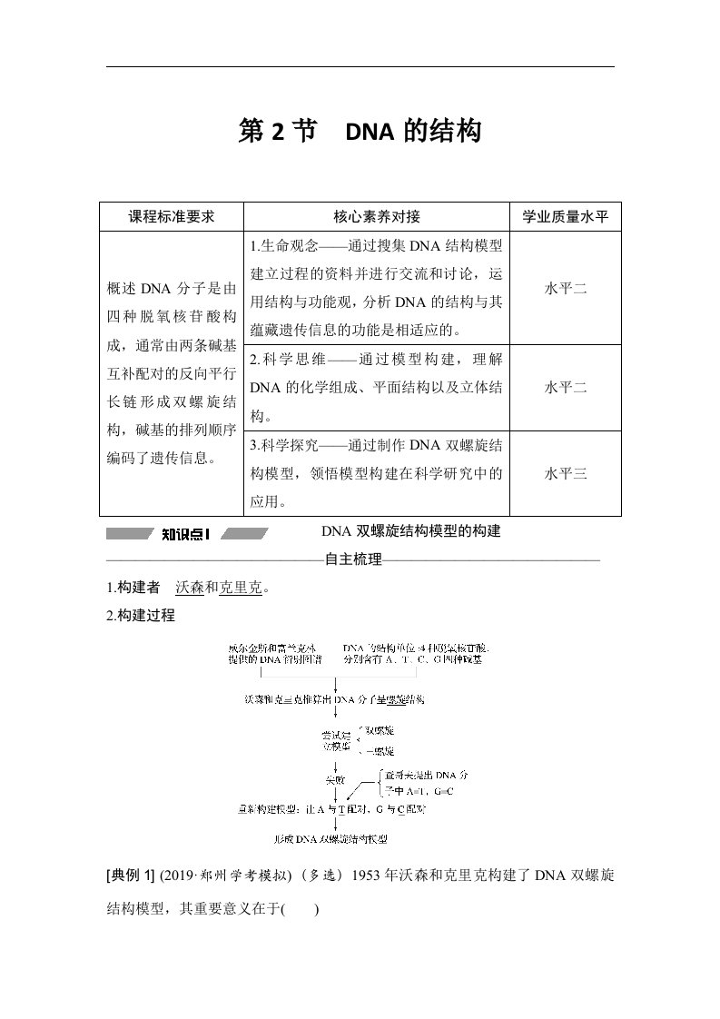 19-20版-3.2DNA的结构（创新设计）