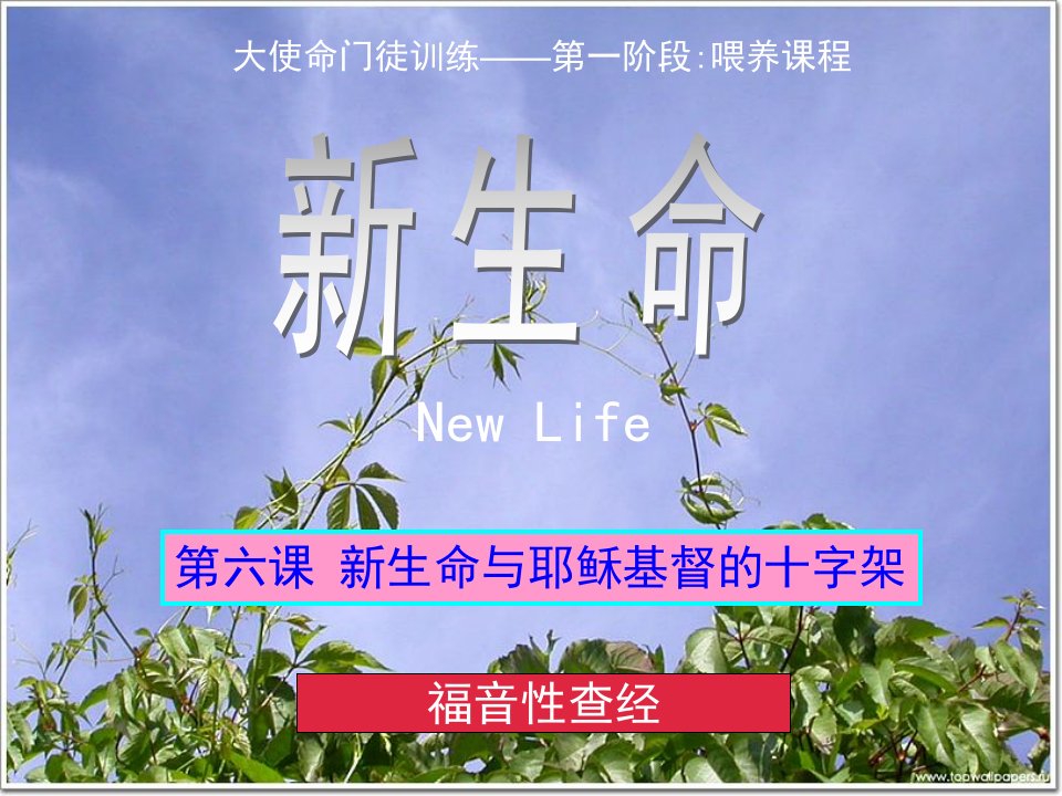 06新生命与耶稣基督的十字架