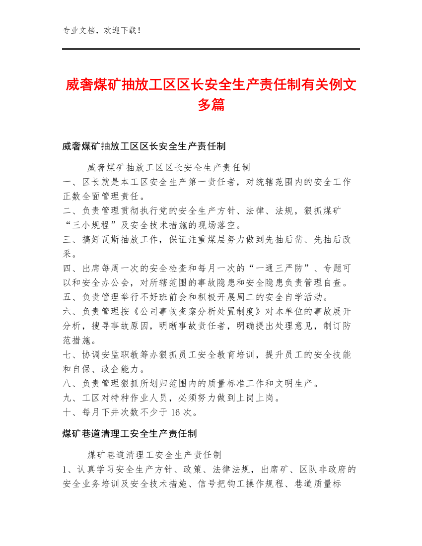 威奢煤矿抽放工区区长安全生产责任制例文多篇