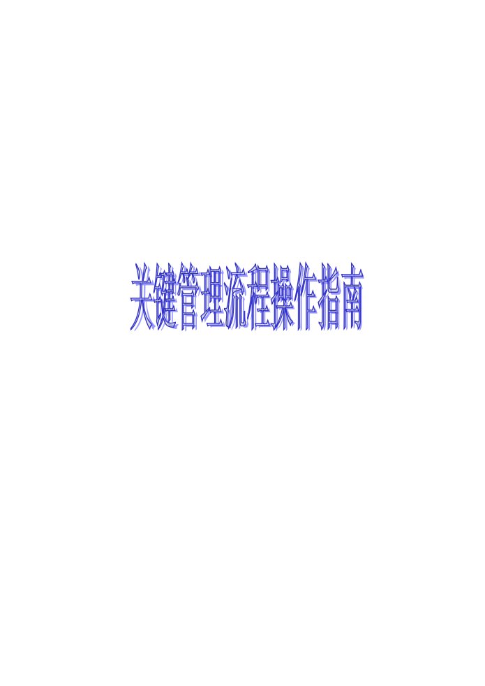 某公司关键管理流程指南