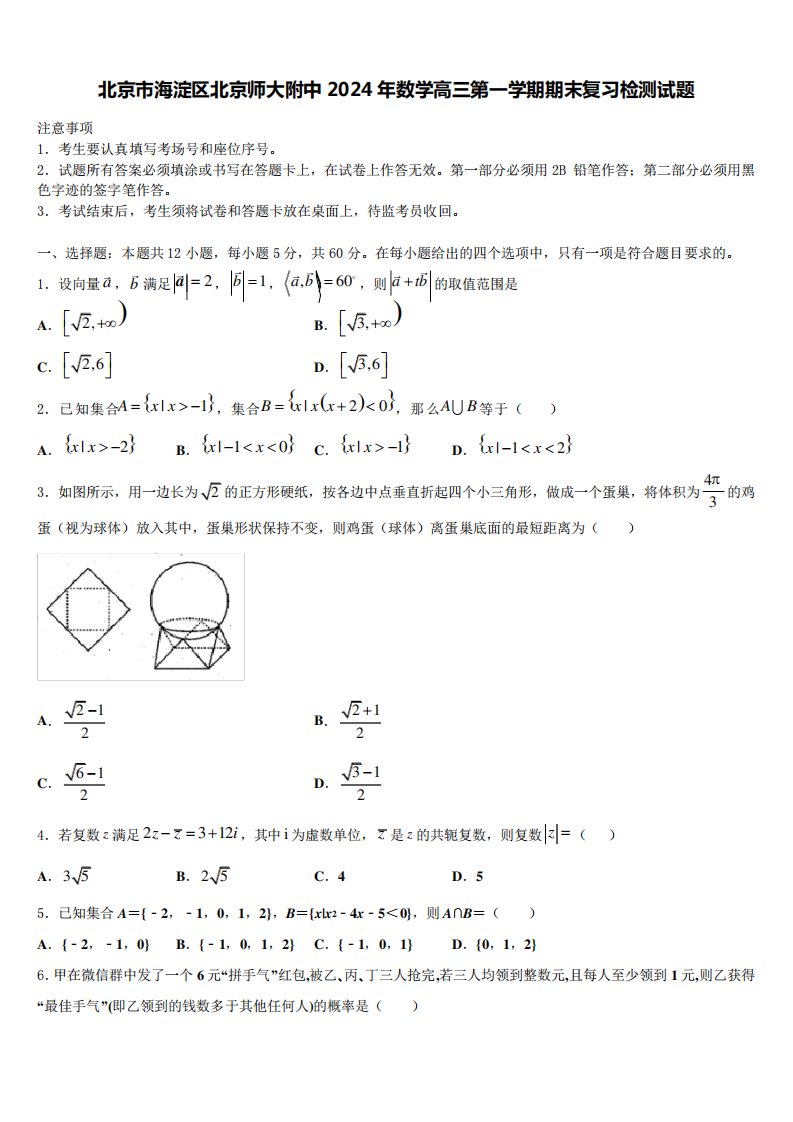 北京市海淀区北京师大附中2024年数学高三第一学期期末复习检测试题含